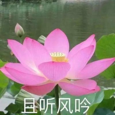 曾国藩藏书楼设计别具匠心 最多时达三十万卷藏书