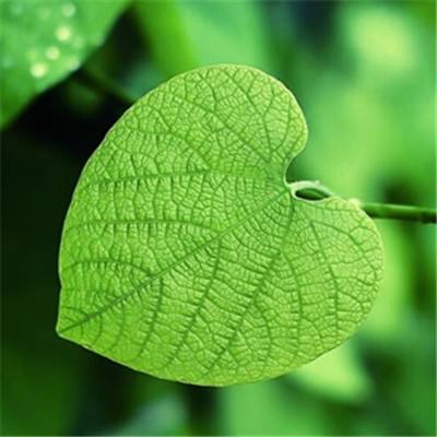 cape escape游戏室9手游下载